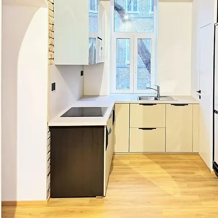 Apartment Zehn House 2 In The Center 公寓 *
